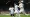 Leeds turn on the style to return to the top of the Championship