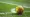 Maidenhead beat relegated Ebbsfleet to keep survival hopes alive