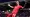 Nine-man Gillingham extend unbeaten run to 11 games after draw with Swindon